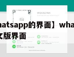 【whatsapp的界面】whatsapp中文版界面