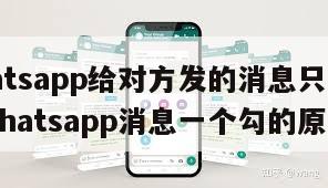 【whatsapp给对方发的消息只有一个勾】whatsapp消息一个勾的原因